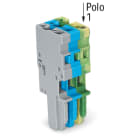 WAGO ELETTRONICA - Spina femmina per 1 conduttore.CAGE CLAMP®.4 mm².giallo-verde/blu/grigio