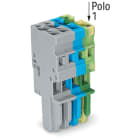 WAGO ELETTRONICA - Spina femmina per 1 conduttore.CAGE CLAMP®.4 mm².giallo-verde/blu/grigio