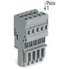 Miniatura Immagine principale 1