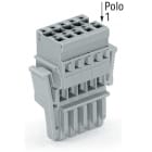 WAGO ELETTRONICA - Spina femmina per 1 conduttore.CAGE CLAMP®.4 mm².grigio
