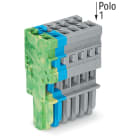 WAGO ELETTRONICA - Spina femmina per 1 conduttore.CAGE CLAMP®.4 mm².grigio, blu, giallo-verde