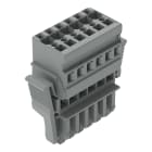 WAGO ELETTRONICA - Spina femmina per 1 conduttore.CAGE CLAMP®.4 mm².grigio