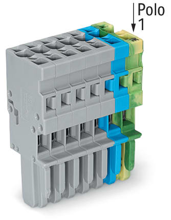 WAGO ELETTRONICA - Spina femmina per 1 conduttore.CAGE CLAMP®.4 mm².giallo-verde/blu/grigio
