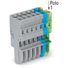 WAGO ELETTRONICA - Spina femmina per 1 conduttore.CAGE CLAMP®.4 mm².giallo-verde/blu/grigio