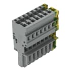 WAGO ELETTRONICA - Spina femmina per 1 conduttore.CAGE CLAMP®.4 mm².giallo-verde/grigio