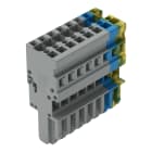 WAGO ELETTRONICA - Spina femmina per 1 conduttore.CAGE CLAMP®.4 mm².giallo-verde/blu/grigio
