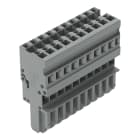 WAGO ELETTRONICA - Spina femmina per 1 conduttore.CAGE CLAMP®.4 mm².grigio