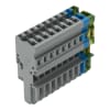 Miniatura Immagine principale 1