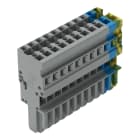 WAGO ELETTRONICA - Spina femmina per 1 conduttore.CAGE CLAMP®.4 mm².giallo-verde/blu/grigio