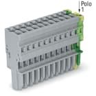 WAGO ELETTRONICA - Spina femmina per 1 conduttore.CAGE CLAMP®.4 mm².giallo-verde/grigio