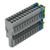 Miniatura Immagine principale 1