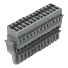 WAGO ELETTRONICA - Spina femmina per 1 conduttore.CAGE CLAMP®.4 mm².grigio