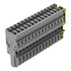 WAGO ELETTRONICA - Spina femmina per 1 conduttore.CAGE CLAMP®.4 mm².giallo-verde/grigio