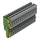 WAGO ELETTRONICA - Spina femmina per 1 conduttore.CAGE CLAMP®.4 mm².grigio, giallo-verde