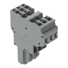 WAGO ELETTRONICA - Connettore femmina per 2 conduttori.CAGE CLAMP®.4 mm².grigio