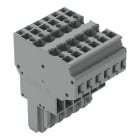 WAGO ELETTRONICA - Connettore femmina per 2 conduttori.CAGE CLAMP®.4 mm².grigio