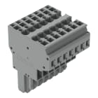 WAGO ELETTRONICA - Connettore femmina per 2 conduttori.CAGE CLAMP®.4 mm².grigio
