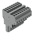WAGO ELETTRONICA - Connettore femmina per 2 conduttori.CAGE CLAMP®.4 mm².grigio