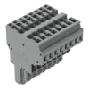 Miniatura Immagine principale 1