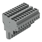 WAGO ELETTRONICA - Connettore femmina per 2 conduttori.CAGE CLAMP®.4 mm².grigio