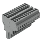 WAGO ELETTRONICA - Connettore femmina per 2 conduttori.CAGE CLAMP®.4 mm².grigio
