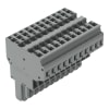 Miniatura Immagine principale 1