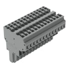 WAGO ELETTRONICA - Connettore femmina per 2 conduttori.CAGE CLAMP®.4 mm².grigio