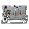 Miniatura Immagine principale 1