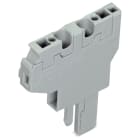WAGO ELETTRONICA - Modulo iniziale per connettore femmina per 2 conduttori.CAGE CLAMP®.4 mm².grigio