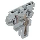 WAGO ELETTRONICA - Modulo centrale per connettore femmina per 2 conduttori.CAGE CLAMP®.4 mm².grigio