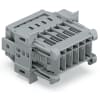 Miniatura Immagine principale 1