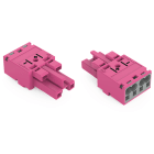 WAGO ELETTRONICA - Presa.2 poli.Cod. B.rosa
