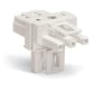 Miniatura Immagine principale 1