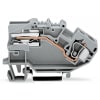 Miniatura Immagine principale 1
