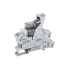 Miniatura Immagine principale 1