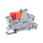 WAGO ELETTRONICA - Modulo relè.Tensione nominale d'ingresso: 115 V AC.2 contatti in scambio.grigio