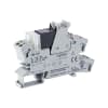 Miniatura Immagine principale 1