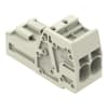 Miniatura Immagine principale 1