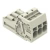 Miniatura Immagine principale 1