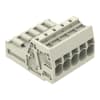 Miniatura Immagine principale 1