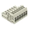 Miniatura Immagine principale 1