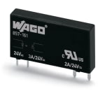 WAGO ELETTRONICA - Relè base allo stato solido.Tensione nominale di ingresso: 24 V DC.Intervallo tensione d'uscita: da 0 a 30 V DC