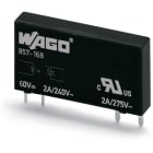 WAGO ELETTRONICA - Relè base allo stato solido.Tensione nominale di ingresso: 60 V DC.Intervallo tensione d'uscita: da 24 a 240 V AC