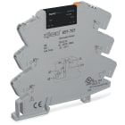 WAGO ELETTRONICA - Modulo con relè allo stato solido.Tensione nominale d'ingresso: 115 V AC/DC.Intervallo tensione d'uscita: da 0 a 48 V DC.grigio