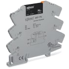 WAGO ELETTRONICA - Modulo con relè allo stato solido.Tensione nominale di ingresso: 24 V DC.Intervallo tensione d'uscita: da 24 a 240 V AC.grigio