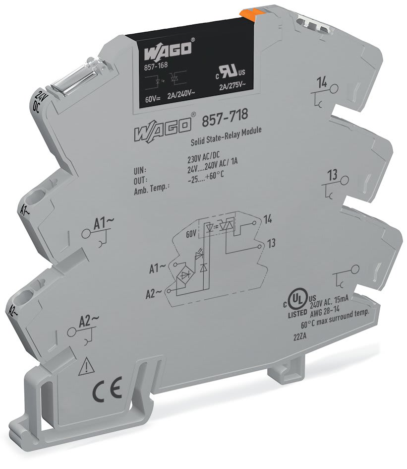 WAGO ELETTRONICA - Modulo con relè allo stato solido.Tensione nominale d'ingresso: 230 V AC/DC.Intervallo tensione d'uscita: da 24 a 240 V AC.grigio