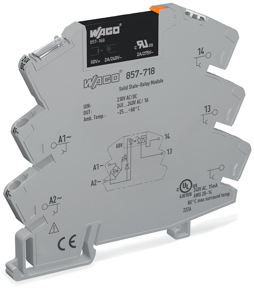 WAGO ELETTRONICA - Modulo con relè allo stato solido.Tensione nominale d'ingresso: 230 V AC/DC.Intervallo tensione d'uscita: da 24 a 240 V AC.grigio