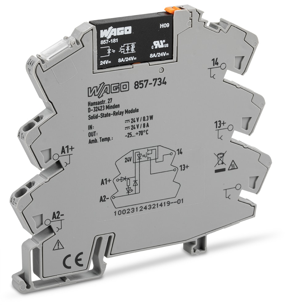 WAGO ELETTRONICA - Modulo con relè allo stato solido.Tensione nominale di ingresso: 24 V DC.Intervallo tensione d'uscita: da 0 a 30 V DC.grigio