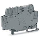 WAGO ELETTRONICA - Modulo relè.Tensione nominale d'ingresso: 12 V AC/DC.1 contatto in scambio.grigio