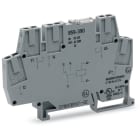 WAGO ELETTRONICA - Modulo relè.Tensione nominale di ingresso: 24 V DC.1 contatto in scambio.grigio